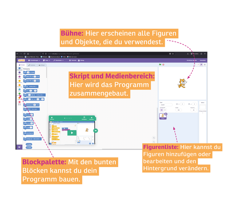 NEU_Grafik_Scratch_Website_