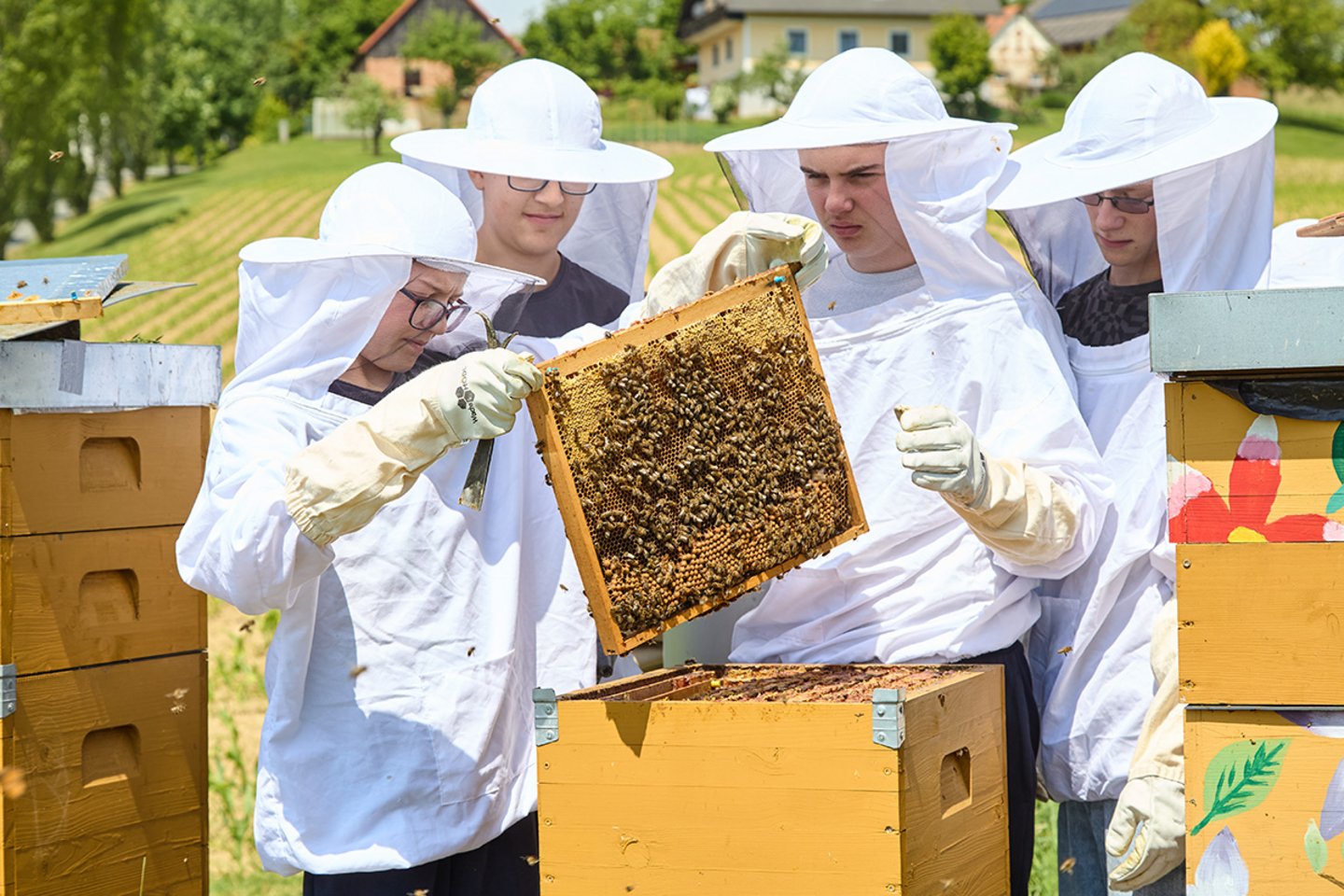 © Alamy Stock Photo/Horizon Images/Motion