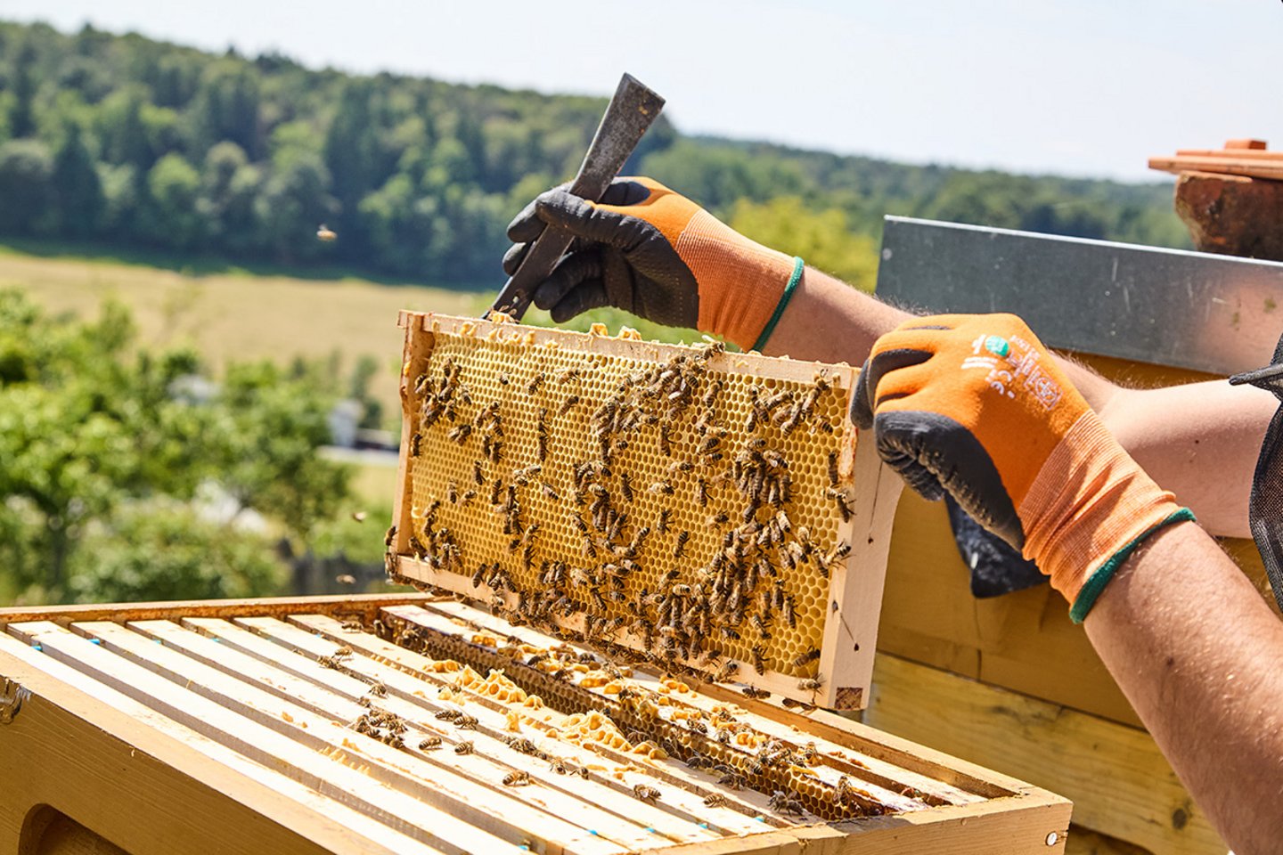 © picturedesk.com/Action Press/Exclusivepix Media